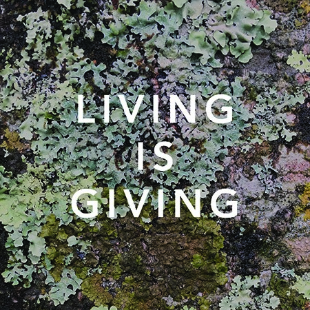 Purposeful Living Quotes